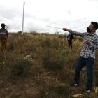 Los agricultores ahora salen 'acompañados' de un machete o un palo para protegerse de los perros.