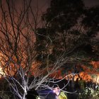 El incendio fue controlado por nueve unidades.