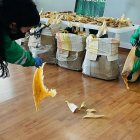 cedida por la Secretaría del Medioambiente de Bogotá que  muestra a funcionarios mientras cuentan aletas de tiburón en Bogotá