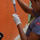 Anteriormente se creía que la prolongación de anticuerpos era mínima.