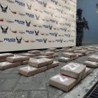 La droga hallada en una casa de la ciudadela Martha de Roldós.