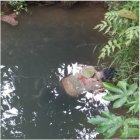 Así fue encontrado el cuerpo del infortunado.