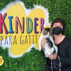 Los pequeños 'alumnos' felinos van al kinder con sus amos o tutores.