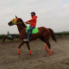 El jinete peruano Jorge San Miguel asegura que tiene una relación de novios con el caballo Paso Real, al que monta desde noviembre de 2020.