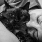 Una mujer viaja con su gatos por Reino Unido.