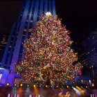 El famoso árbol navideño de la Gran Manzana volverá a brillar en estas navidades.