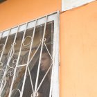 En septiembre pasado un equipo de este Diario buscó conocer la versión del padre de Kael. Agencia (ag-expreso)