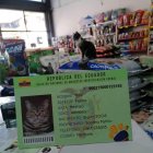 En nueve años, un promedio de 12500 animales, en todo el país, han podido regresar a sus casas, gracias a la identificación.