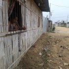 En el exterior de este domicilio se desvaneció Dennis Asanza, luego de ser apuñalado.