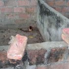 Algunos de los bloques de cocaína que fueron desenterrados de la propiedad.