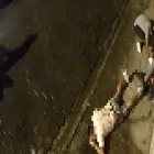 El ataque se registró afuera del hotel donde estaban hospedadas las víctimas.