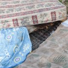 El cadáver estaba dentro del colchón y envuelto en sábanas.