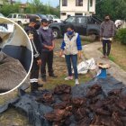 El consumo de carne silvestre es un delito sancionado en Ecuador.
