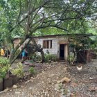 El hijastro intentó desligarse de la responsabilidad de la muerte del esposo de su madre.