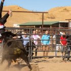 Jackass supera a Spiderman en taquilla.