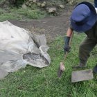 Un agricultor trata de limpiar.