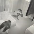 Captura del video en el que aparentemente había un ser extraño en la habitación.