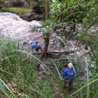 Socorristas permanecen en la búsqueda de un hombre de 55 años que cayó al río Carchi.