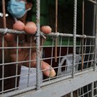 En la Juan Montalvo los moradores han colocado cerramientos a sus casas por temor a la inseguridad.