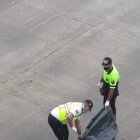 Agentes de tránsito recogieron en una bolsa los restos humanos hallados en plena vía.