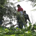 Personal de criminalística levantaba el cuerpo que fue dejado al pie del río por pescadores.