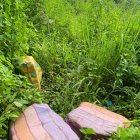 Los paquetes de la droga estaban escondidas en sacos.