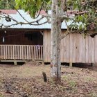La víctima preparaba el desayuno para sus niños cuando la sorprendió su agresor.