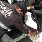 La droga estaba encaletada en las puertas de esta camioneta.