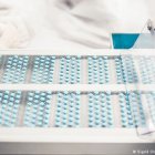 La píldora anticonceptiva masculina tiene una eficacia del 99%, según nuevo estudio