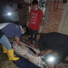 El chico se pegó un tiro en la cabeza. Ocurrió en el baño de su domicilio.