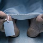 Boca arriba fue hallado el cuerpo de un joven de unos 24 años, aproximadamente.