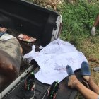 El vehículo tenía placa que pertenece a la provincia de Pichincha.