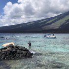 La limpieza marino costera se realizó en un sector de la isla Isabela, la más grande de Galápagos.