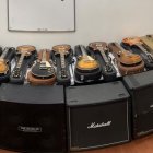 Un sujeto llegó al colmo de estafar a una adulta mayor para darse su gusto por este tipo de guitarras.