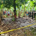 El hallazgo lo realizó un trabajador del predio.