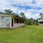 La maleza crecida es el denominador común en varios de los planteles.