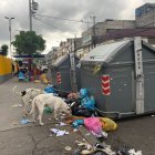 La basura sobrepasa la capacidad de los contenedores. Y los perros destrozan las bolsas.