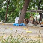 El hecho violento se registró en medio de la colonia de gatos del monumento El Pescador.