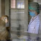 Perú declara alerta por la viruela del mono pese a no haber detectado casos