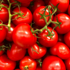 Tomates editados genéticamente, una fuente rica de vitamina D