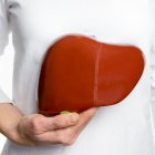 El hígado cumple diversas funciones en el organismo.