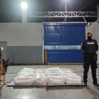 Los canes especializados en detectar droga fueron los que identificaron el alcaloide.