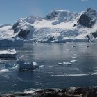 Descubren en la Antártida bacterias "hiperresistentes" a antibióticos