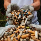 El reciclaje de colillas de cigarros acaba de romper el récord en México, a través de una reconocida marca de tabacos.