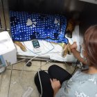 La mascota recibe fuertes medicamentos para el dolor en una veterinaria privada.