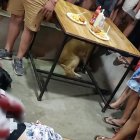 La escena dramática asustó a algunos comensales, quienes al oír las balas salieron ‘soplados’, otros se quedaron a 'sapear'.