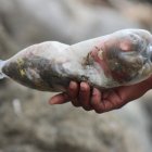 Dentro de los envases no solo hay fotos de personas, también cabellos, uñas, trozos de tela y más.