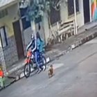 En el video se ve a la mujer bajarse de la motocicleta y disparar.