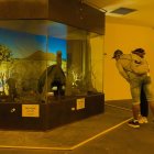 Dos turistas observan el cuerpo del Solitario George, que permanece expuesto en un lugar donde no le dé elsol y a una temperatura regulada.