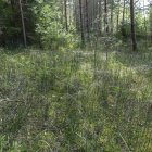 Recicladores dieron aviso a las autoridades sobre el hallazgo del cuerpo del NN.